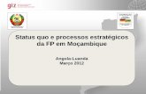 Status quo e processos estratégicos da FP em Moçambique · Reforma da Educação Profissional 3. ... Estrutura de Implementação da Fase Piloto da REP 5. Fases do Processo de Implementação