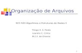 SCC-503 Algoritmos e Estruturas de Dados IIpaulovic/aulas/OrgArq/alg2_12.Organizacaode... · SCC-503 Algoritmos e Estruturas de Dados II Thiago A. S. Pardo Leandro C. Cintra M.C.F.