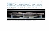file · Web viewWorld de Jacarta, na Indonésia. Ciência . ... Figura 1 - Raridade- Funcionários do Museu Nacional do Quênia avaliam um Celacanto de 1,75 m e 77 kg, ...