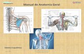Manual de Anatomia Geral - massagempro.com de Anatomia_Sistema_Esqueletico... · Bibliografia, Objectivos e Enquadramento do Módulo do Sistema Esquelético da Anatomia Básica Objectivos