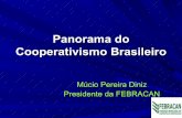 : Panorama do Cooperativismo Brasileiro · médicos de cooperativas e os médicos servidores públicos concursados, sete gestores afirmaram que os salários dos médicos de cooperativas
