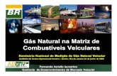 Gás Natural na Matriz de Combustíveis Veicularesinmetro.gov.br/metlegal/palestras/Petrobras.pdf · 9Inspeção periódica de todas as peças utilizadas na conversão a GNV (abastecimento