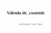José Carlos Costa Pinto - api.ning.comapi.ning.com/files/wxa5Bnc76*QCyWeDkgex2aru2YuJzRvLCUJ8lg7stSOrkd6... · nAfeta dinâmicamente o ganho da malha de controle nÉ o elemento mais