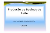 Prof. Marcelo Nogueira Reis UNITRI · É uma raça mista, produtora de carne e com boa aptidão leiteira. Raças Leiteiras –Raça GirLeiteiro