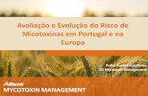 Avaliação e Evolução do Risco de Micotoxinas em Portugal e ...tektix2.com/files/IACA_Meeting_.pdf · colheita de cereais ou materials forrageiros por espécies de Fusarium assim