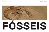 FÓSSEIS - pavconhecimento.pt · Ramo essencial da geologia, a Paleontologia é a ciência que estuda os fósseis. A palavra radica nos termos gregos páleos (antigo), ontós (ser,