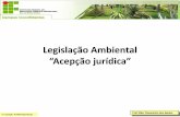 A Evolução da Legislação Ambiental no BrasilƒO... · Florestas Protetoras, Remanescentes, Modelo e de Rendimento Código das Águas (Decreto n° 24.643, de 10 de julho de 1934).
