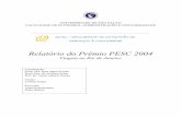 Relatório do Prêmio PESC 2004 - erudito.fea.usp.br · um apoio do ITCP (Incubadora Tecnológica de Cooperativas Populares). Fez também uma pesquisa sobre a formação de uma hipotética