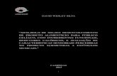 “MINI-BOLO DE MILHO: DESENVOLVIMENTO DE PRODUTO ...repositorio.unicamp.br/.../REPOSIP/254260/1/Silva_DavidWesley_M.pdf · UNIVERSIDADE ESTADUAL DE CAMPINAS FACULDADE DE ENGENHARIA