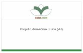 Projeto Amazônia Justa (AJ) - institutobrasiljusto.org.br AJ.pdf“Não basta deixar de praticar o mal; é hor a de praticar o bem” (Sidarta Gautama) 5 O Projeto Amazônia Justa