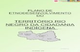 TERRITÓRIO RIO NEGRO DA CIDADANIA INDÍGENAsit.mda.gov.br/download/ptdrs/ptdrs_qua_territorio136.pdf · da Cidadania Indígena, por sua característica étnica bastante definida.