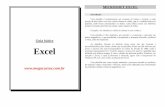Guia básico Excel - Sergiosergioalbert.yolasite.com/resources/Apostilas/Informatica/Curso... · pode ser manipulados da forma que o usuário achar melhor para o seu propósito, através