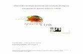 Sistema de Informação Distribuído para Coleções Biológicas ...splink.cria.org.br/docs/junho2003.pdf · bancos de dados de coleções biológicas tanto nas áreas de botânica