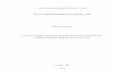 UNIVERSIDADE DE SÃO PAULO USP ESCOLA DE ENGENHARIA DE ...sistemas.eel.usp.br/bibliotecas/monografias/2011/MEQ11011.pdf · RESUMO PRUDENCIATO, R. Consumo energético no processo de