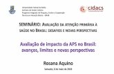 SEMINÁRIO: AVALIAÇÃO DA ATENÇÃO PRIMÁRIA À BRASIL … · •2009 - Projeto de Expansão e Consolidação da Saúde da Família (PROESF) •2011 - Programa Nacional de Melhoria