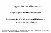 Regulação neuroendócrina Integração de sinais periféricos ... · Neuropeptideo Y Ingestão de alimentos ... Frango de corte – IICV leptina (8Ug/kg/g) Redução da ingestão,