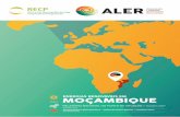 ENERGIAS RENOVÁVEIS EM MOÇAMBIQUE - sun-connect … · energias renovÁveis em moÇambique relatÓrio nacional do ponto de situaÇÃo / outubro 2017 · segunda ediÇÃo renewables