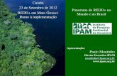 Cuiabá 23 de Setembro de 2012 Panorama de …€™ Climate and Forests task force (GCF). 14 Estados e Provincias Alinhadas com a Politica de “cap-and-trade” da California O que