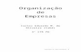 Organização de EmpresasCurso_Tecnico/Turma124/organizac... · Web viewde Empresas Carlos Eduardo M. de Oliveira (CaEd) 3 CTR PD 21/02/97 Empresas Uma empresa pode ser vista como