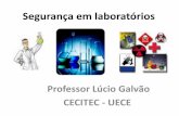 Segurança em laboratórios - Lúcio Galvão · Por que devemos nos preocupar com a segurança nos Laboratórios? Se você trabalha em um laboratório, precisa conhecer os riscos