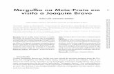 Mergulho na Meia-Praia em 145 visita a Joaquim Bravorepositorio.ul.pt/bitstream/10451/20011/2/estudio8_joaosimoes.pdf · Esmalte s/ platex –100x89 cm. Ass./dat. Fonte: Fotografia: