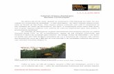Cafezal Urbano Paulistano Recebe Certificação - IEA · 2012-07-05 · das numa cave da subprefeitura desta região parisiense, onde o vinho também é produ-zido e leiloado. ...