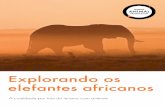 Explorando os elefantes africanos - Mova o mundo para ... · A maioria dos parques fica na África do Sul, ... Esse fato e o tamanho de seu mundo ... no bem-estar dos animais envolvidos.