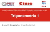 CURSO INTRODUTÓRIO DE MATEMÁTICA PARA …petengenharias.com.br/wp-content/uploads/2018/06/Trigonometria-1-e... · Trigonometria no Triangulo Retângulo Em um triângulo retângulo