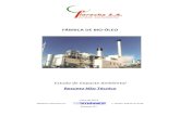 FÁBRICA DE BIO ÓLEO - Agência Portuguesa do Ambientesiaia.apambiente.pt/AIADOC/AIA2352/RNT2352.pdf · A pirólise é o processo de decomposição da biomassa por acção do calor,