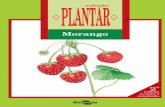 coleção Clima Temperado PLANTAR - Agropedia brasilisainfo.cnptia.embrapa.br/.../128281/1/PLANTAR-Morango-ed02-2011.pdf · com isso, contribuir para o aumento da produção de alimentos