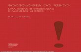 R I S C O S - Biblioteca Digital da Universidade de Coimbra · Propõe-se nesta obra uma abordagem problematizadora das teorias do risco, integrando os debates mais recentes sobre