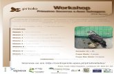 Workshop - centropriolo.spea.ptcentropriolo.spea.pt/fotos/noticias/cartaznovembro_1383581987.pdf · parceria com o Centro de Ecologia, Recuperação e Vigilância de Animais Selvagens