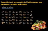 Importância da preservação da biodiversidade para pequenos ... · Importância da preservação da biodiversidade para pequenos e grandes agricultores ... Grande Desafio para humanidade: