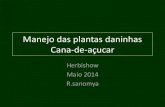 Manejo das plantas daninhas - cana.com.br manejo renato sanomya... · Expectro de controle . E mail: renato.sanomya@yahoo.com.br Cel : (043) 9986 2759 Londrina - PR . Title: Manejo
