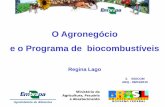 O Agronegócio e o Programa de biocombustíveis - abq.org.br · Etanol no Brasil –Localização das ... Refino Dessolventização Torração Secagem ... Agência Nacional do Petróleo,