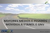 Marcos Langeani - INEE · Marcos Langeani. Information herein contained are proprietary of Sygma Motors and protected under the terms of intellectual property law. ... Injeção Direta