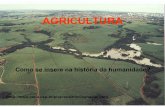 AGRICULTURA - ecologia.ib.usp.brecologia.ib.usp.br/bie314/Agricultura.pdf · FASES DA HISTÓRIA DA HUMANIDADE (Boyden, 1992) 1) Caçadores-coletores 2) Agricultura primitiva (tradicional)