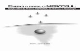 Edição 2004 do Prêmio MERCOSUL de Ciência e Tecnologiaestatico.cnpq.br/portal/premios/2014/mercosul/pdf/Premio_mercosul... · de petróleo. Esses novos combustíveis poderão