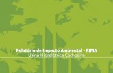 Relatório de Impacto Ambiental - RIMA Usina Hidrelétrica ...licenciamento.ibama.gov.br/Hidreletricas/Cachoeira/CAC_RIMA UHE... · projeto da usina hidrelétrica de Cachoeira e que