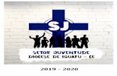 2019 - 2020 - diocesedeiguatu.org.br · O Setor Juventude valoriza e respeita o protagonismo juvenil e a diversidade dos carismas, caminhando em comunhão, assumindo metas e prioridades