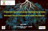 O potencial das micorrizas nos ecossistemas agrícolas. · Trigo e Trevo vs Mn “Developers”: Lolium rigidum Ornithopus compressus 21 DAP 35 OTUs diferentes (99% da diversidade)