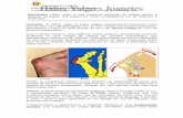 FUNDAÇÃO UNIVERSIDADE FEDERAL DO RIO GRANDE …hanciau.net/arquivos/PE CLASS II 2011.pdf · Os sintomas de um dedo do pé do martelo são geralmente notadas quando uma calosidade