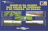 Arroz e Feijão - CORE · aplicação de calcário e o uso de gesso, em solos de cerrado e várzea do Brasil. Para que o assunto seja entendido da forma mais prática ... irá depender