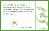 Comendo na pixirica : Aranhas-lince (Peucetia flava ...ecologia.ib.usp.br/curso/2016/pdf/API_LOUISE.pdf · •Custos e benefícios da obtenção do alimento Teoria do forrageio ótimo