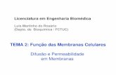 Luís Martinho do Rosário (Depto. de Bioquímica / FCTUC) · Cálculo para moléculas com D = 5x10-6 cm 2.s-1 ... coeficiente de partição 2 – Demonstre que o influxo inicial