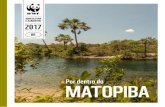 AGRICULTURA E ALIMENTOS · PDF fileE ALIMENTOS 2017 BR Por dentro do MATOPIBA Foto: Tiago Forest. 2 3 INTRODUÇÃO NOSSO OBJETIVO O ... Itália e Reino Unido. É considerado berço