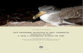 Chick provisioning regulation in Cory’s Shearwaters Jorge... · To my war comrades, Ana, Diana, Henrique, Jorge and Zé thank you for the ... 2 To my family and specially to my