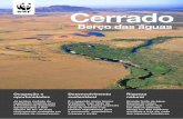 Cerrado - assets.wwfbr.panda.orgassets.wwfbr.panda.org/downloads/factsheet_cerrado_port_web.pdf · O clima do Cerrado é tropical sazonal, com duas estações bem definidas: a seca
