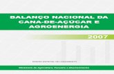 BALANÇO NACIONAL DA AGROENERGIA - agricultura.gov.br · A lenha e o carvão vegetal detêm uma participação importante na oferta de energia primária (13%), mas o cultivo de florestas