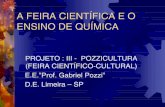 A FEIRA CIENTÍFICA E O ENSINO DE QUÍMICA - GPQUAEgpquae.iqm.unicamp.br/projsoc.pdf · - experimentos no laboratório; - palestras com profissionais de diversas áreas ( saúde,